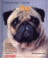 Training Your Pug (h�ftad)
