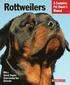 Rottweilers - Everything About Purchase, Care, Nutrition, and Behavior