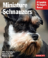 Miniature Schnauzers - Everything About Purchase, Care, Nutrition, and Behavior