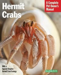 Hermit Crabs (h�ftad)