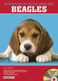 Beagles ()