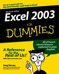 Excel 2003 for Dummies (h�ftad)