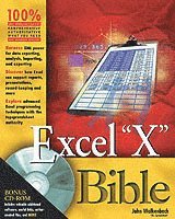 Excel 2003 Bible Book/CD Package