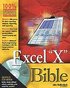 Excel 2003 Bible Book/CD Package