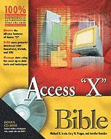 Access 2003 Bible Book/CD Package ()
