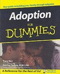 Adoption For Dummies