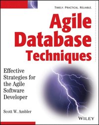 Agile Database Techniques (h�ftad)