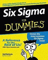 Six Sigma for Dummies (h�ftad)