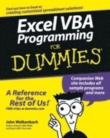 Excel VBA Programming for Dummies (h�ftad)