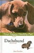 Dachshund - Your Happy Healthy Pet