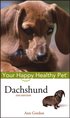 Dachshund - Your Happy Healthy Pet