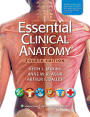 Essential Clinical Anatomy (h�ftad)