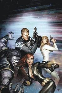 Fear Itself: Secret Avengers (h�ftad)