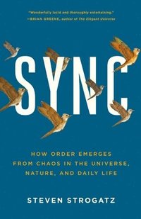Sync: How Order Emerges from Chaos in the Universe, Nature, and Daily Life (h�ftad)