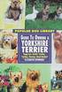Guide to Owning a Yorkshire Terrier