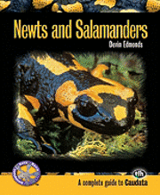 Newts And Salamanders (h�ftad)