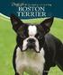Boston Terrier [With DVD]