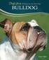 Bulldog - Doglife: Lifelong Care for Your Dog