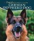 German Shepherd Dog - Lifelong Care for Your Dog