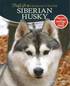 Siberian Husky - Lifelong Care for Your Dog