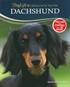 Dachshund - Lifelong Care for Your Dog