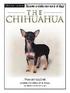 The Chihuahua [With Dog Training DVD]