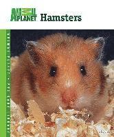 Hamsters (h�ftad)