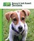 Parson & Jack Russell Terriers