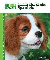 Cavalier King Charles Spaniels (inbunden)