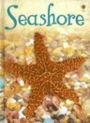 Seashore (h�ftad)