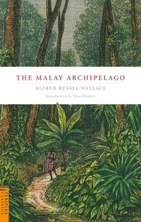 Malay Archipelago (h�ftad)