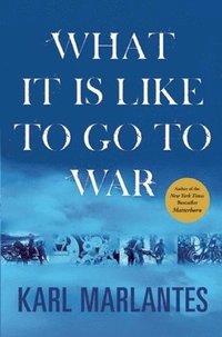 What It Is Like to Go to War (inbunden)