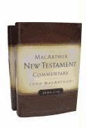 The MacArthur New Testament Commentary: Gospel of John (inbunden)