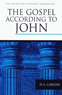 The Gospel According to John (e-bok)