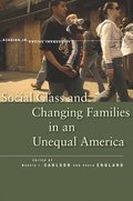 Social Class and Changing Families in an Unequal America