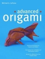 Advanced Origami (inbunden)