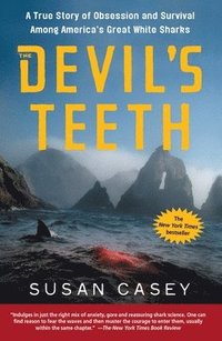 Devil's Teeth (h�ftad)