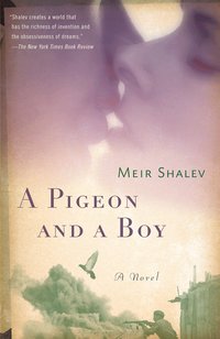 A Pigeon and a Boy (h�ftad)