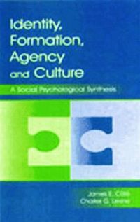 Identity Formation, Agency, and Culture (inbunden)
