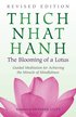 The Blooming of A Lotus