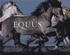 Equus