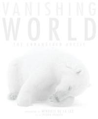 Vanishing World (kartonnage)