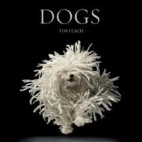 Dogs (inbunden)