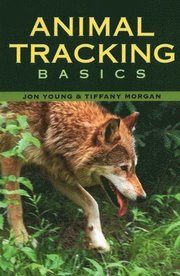 Animal Tracking Basics (h�ftad)