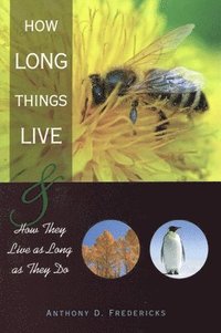 How Long Things Live (h�ftad)