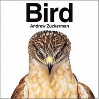Bird (inbunden)