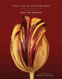 Tulip Anthology (inbunden)