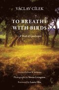 To Breathe with Birds