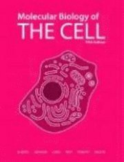 Molecular Biology of the Cell (inbunden)