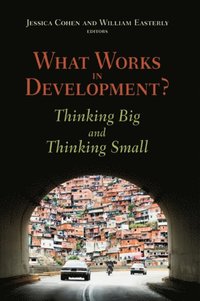 What Works in Development? (h�ftad)